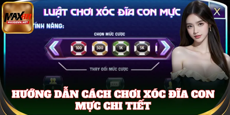 Cách chơi Xóc Đĩa Con Mực cực kỳ đơn giản