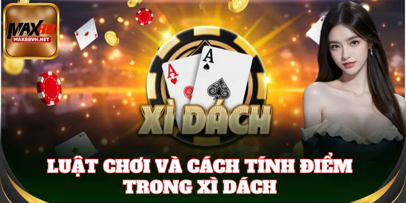 Luật chơi Xì Dách cơ bản cần nắm rõ ngay